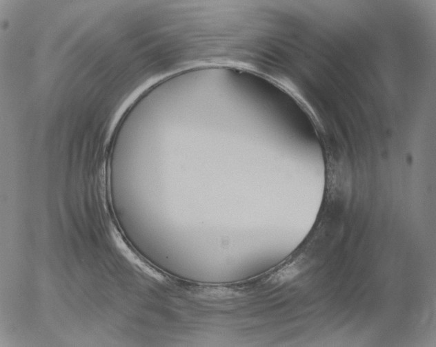 X0000056001100200509021657