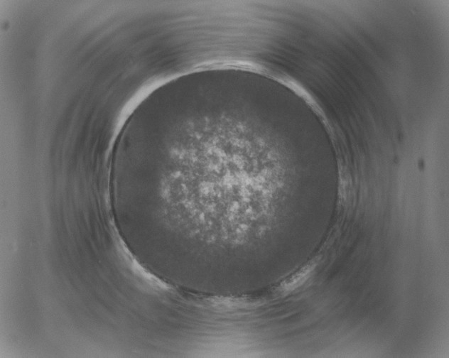 X0000056001102200509021657