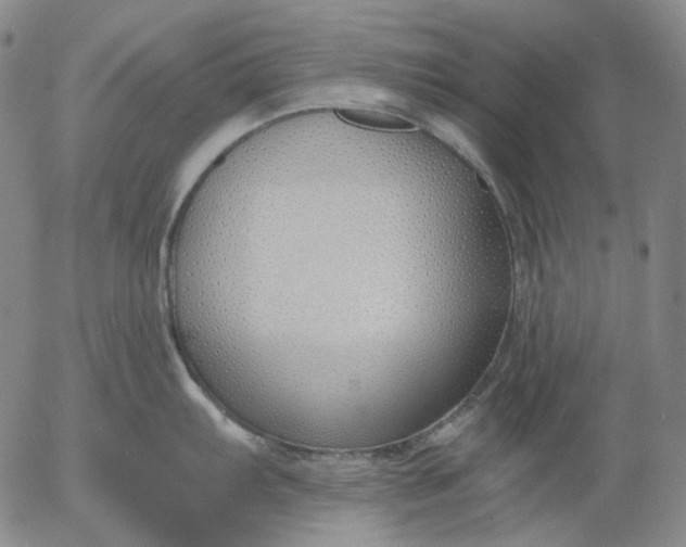 X0000056001103200509021657