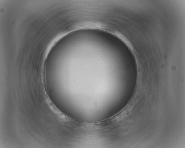 X0000056001104200509021657