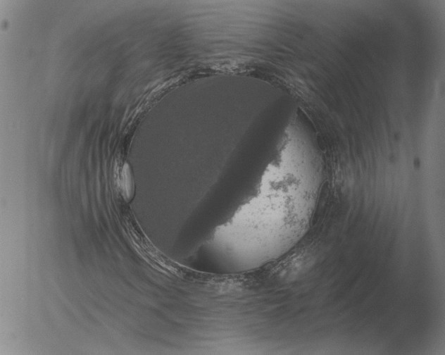 X0000056001106200509021657