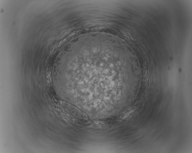 X0000056001109200509021657