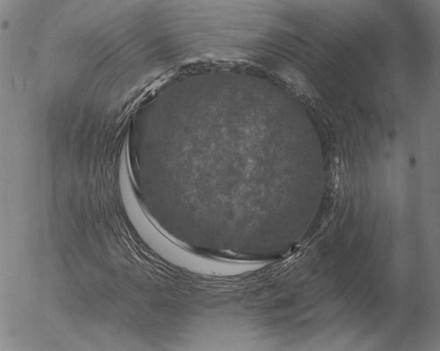 X0000056001110200509021657