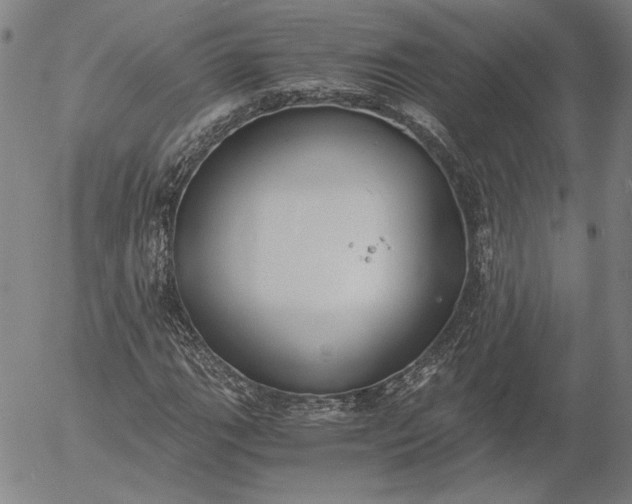 X0000056001111200509021657