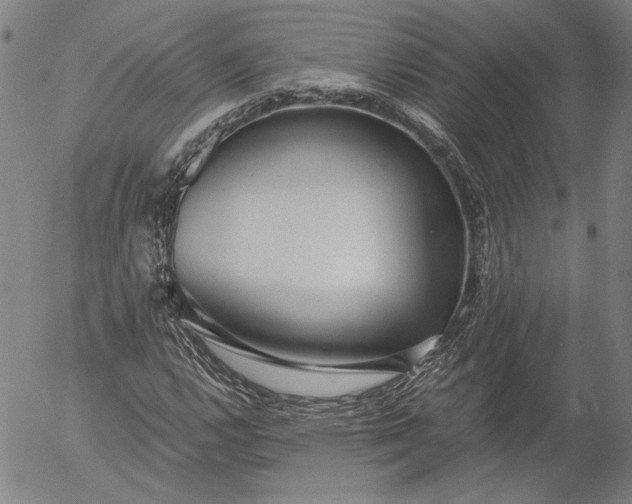 X0000056001112200509021657