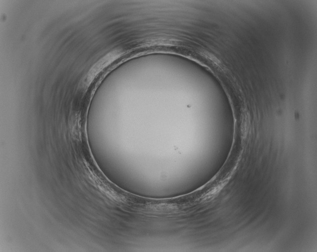 X0000056001113200509021657