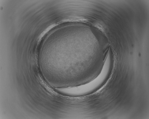 X0000056001114200509021657