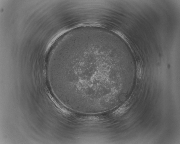 X0000056001115200509021657