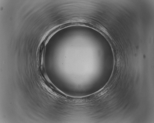 X0000056001116200509021657