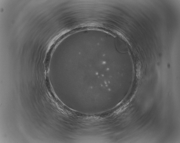 X0000056001117200509021657