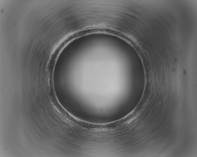 X0000056001118200509021657