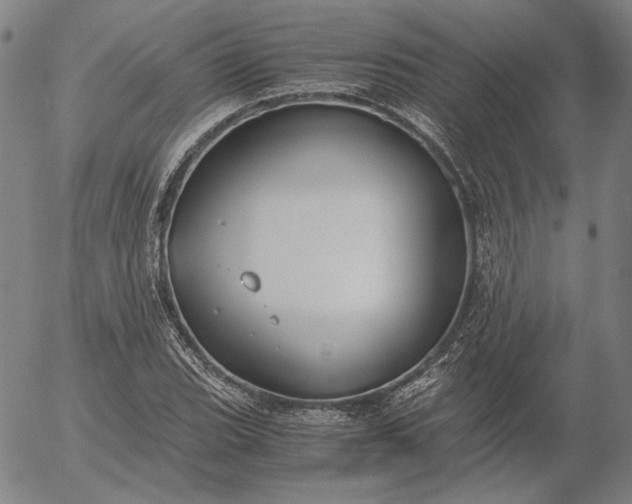 X0000056001119200509021657