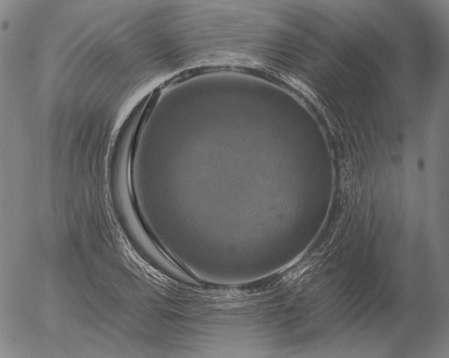 X0000056001120200509021657