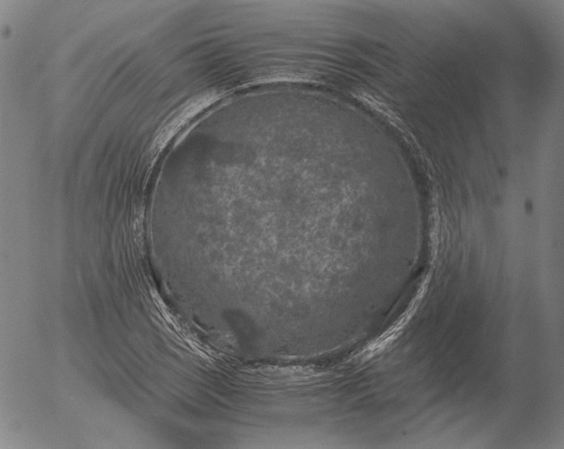 X0000056001121200509021657