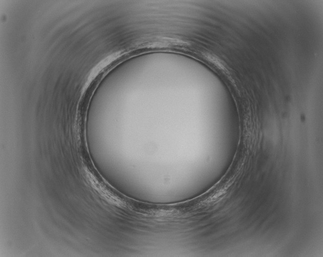 X0000056001122200509021657