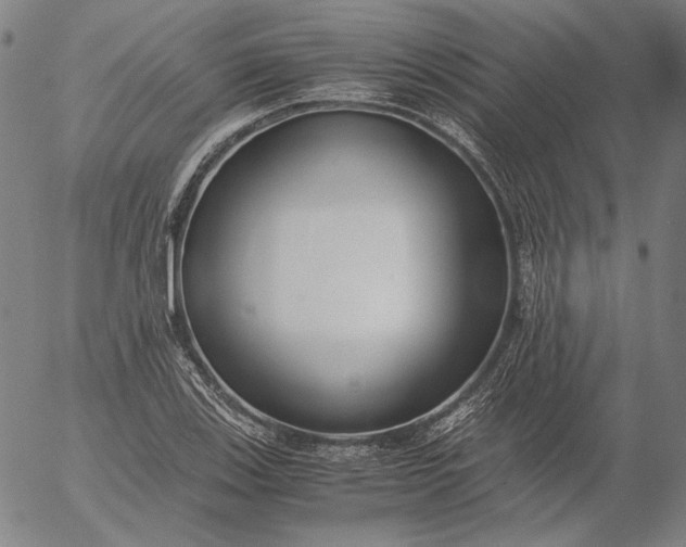 X0000056001123200509021657