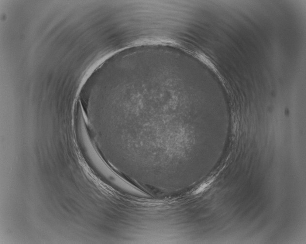 X0000056001124200509021657