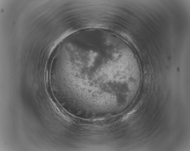 X0000056001125200509021657