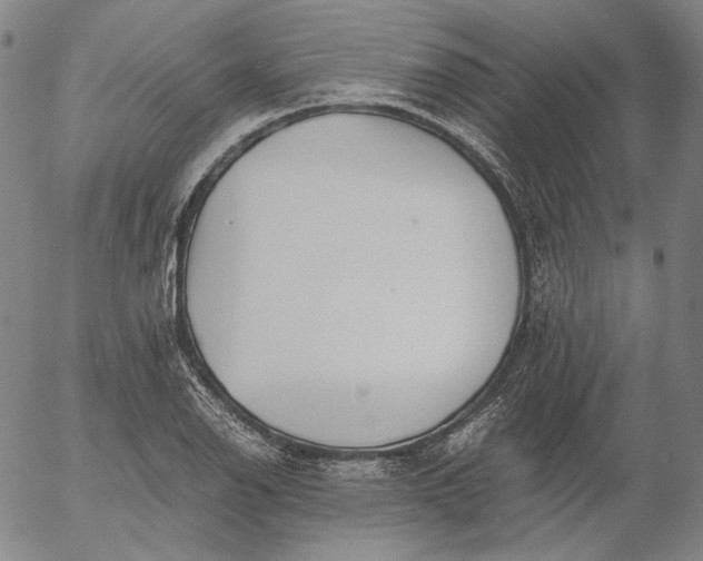 X0000056001126200509021657