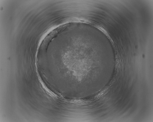 X0000056001128200509021657