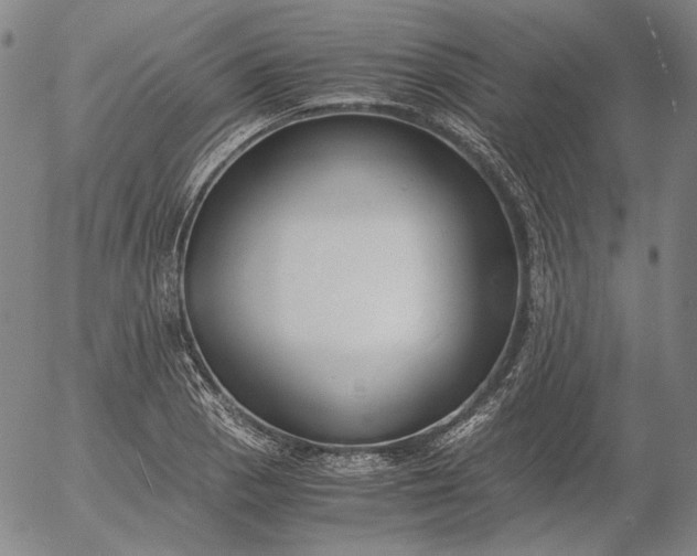 X0000056001129200509021657