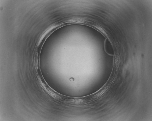 X0000056001131200509021657