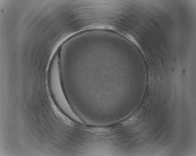 X0000056001132200509021657