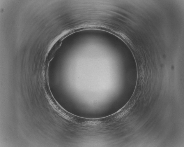 X0000056001134200509021657