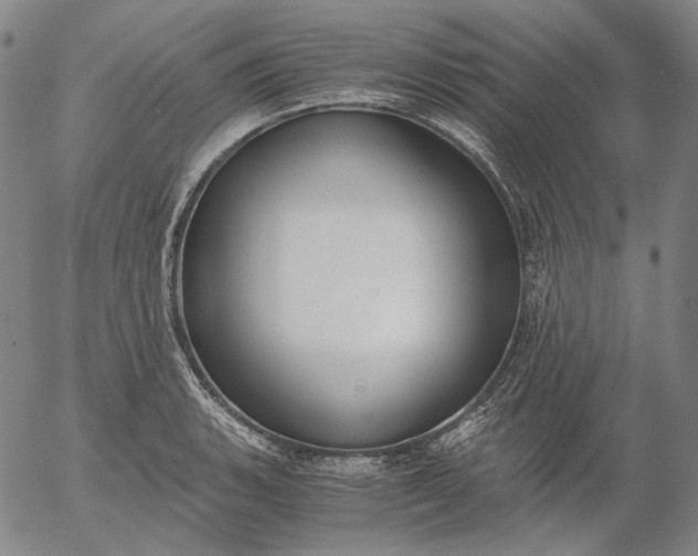 X0000056001135200509021657