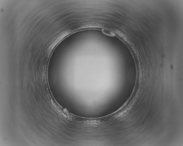 X0000056001137200509021657