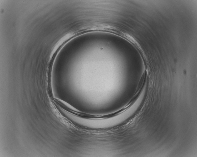 X0000056001138200509021657