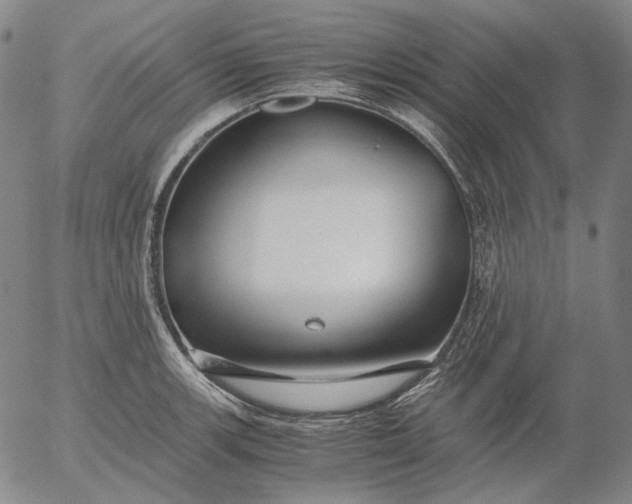 X0000056001139200509021657