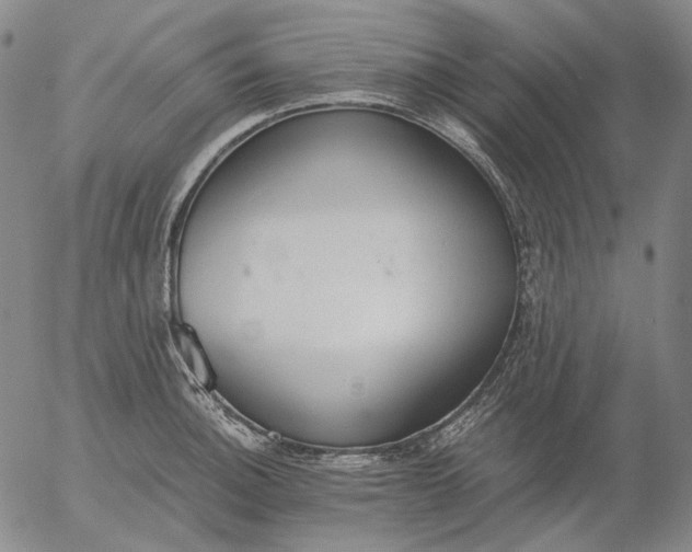 X0000056001140200509021657