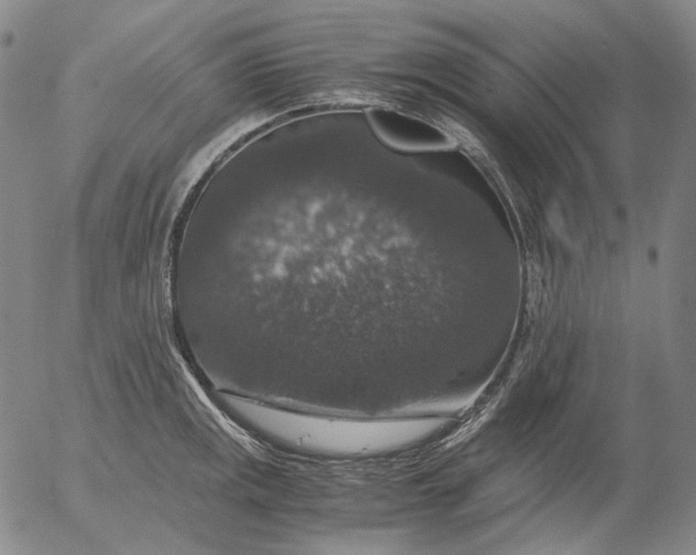 X0000056001141200509021657