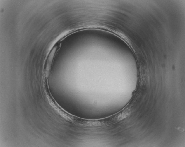 X0000056001142200509021657