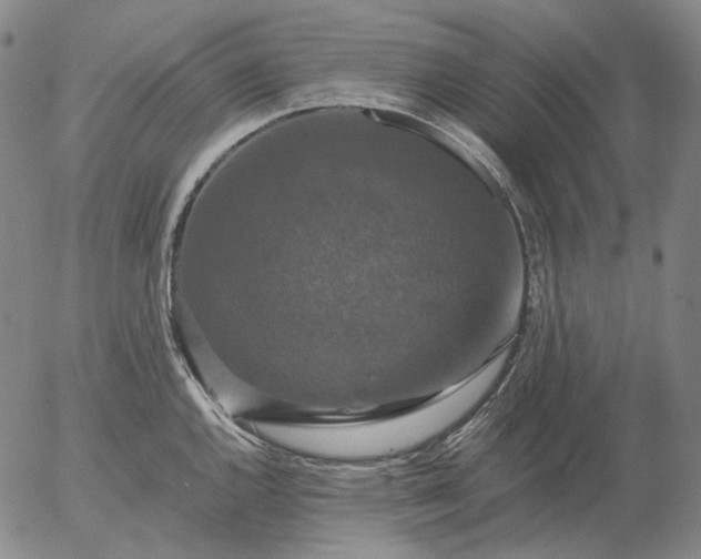 X0000056001144200509021657