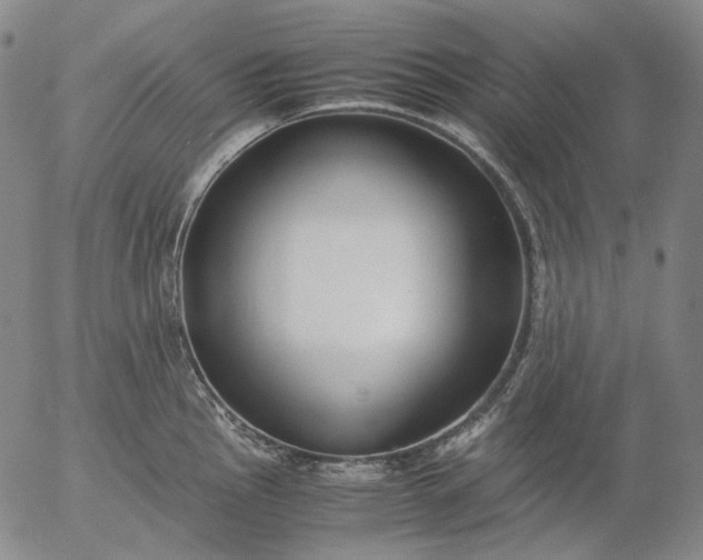 X0000056001145200509021657