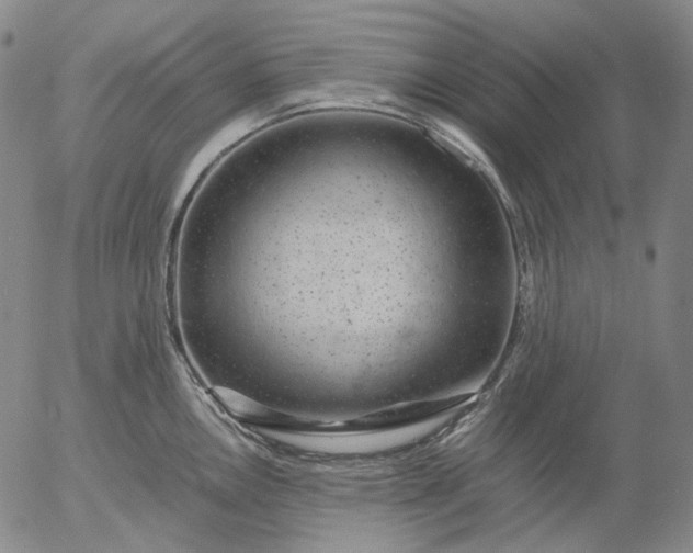 X0000056001146200509021657