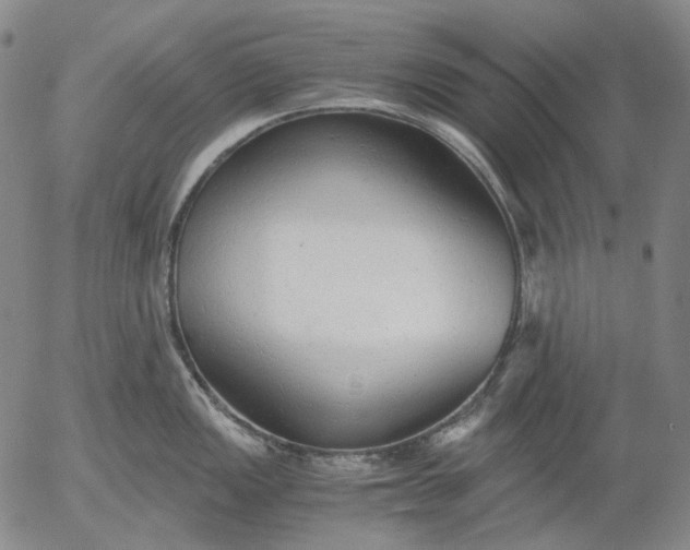 X0000056001149200509021657