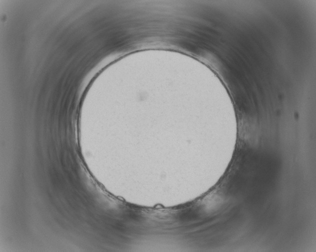 X0000056001150200509021657