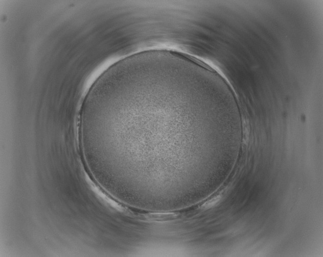 X0000056001151200509021657