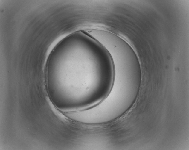 X0000056001152200509021657