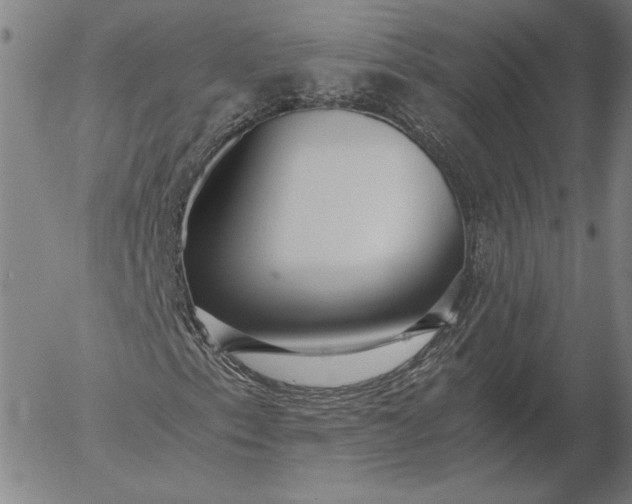 X0000056001153200509021657