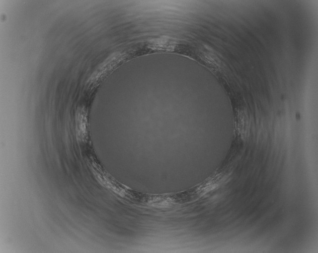 X0000056001154200509021657