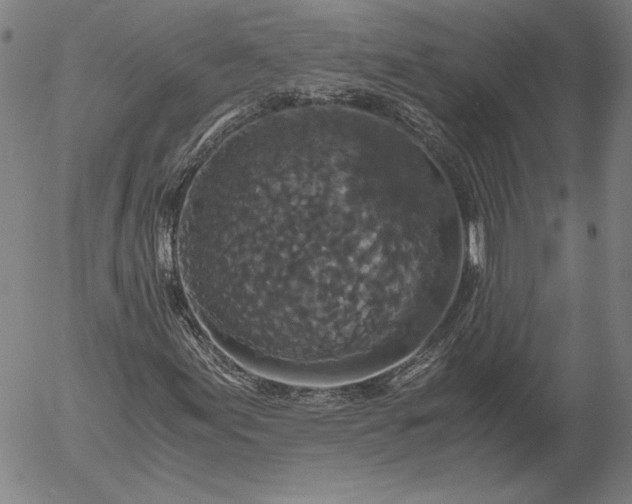 X0000056001155200509021657