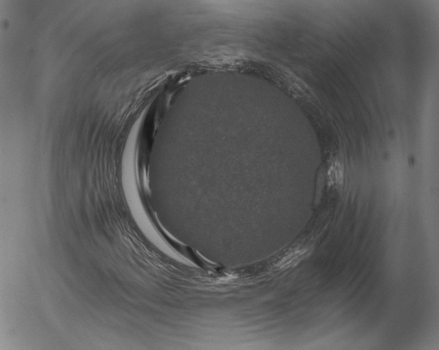 X0000056001156200509021657