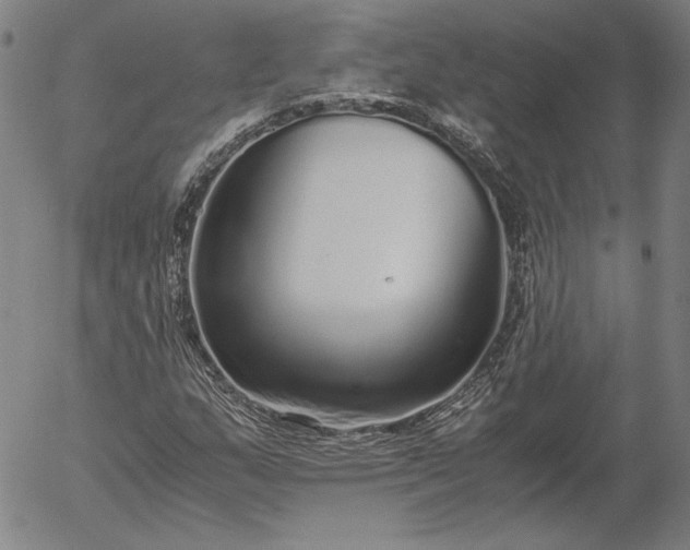 X0000056001159200509021656