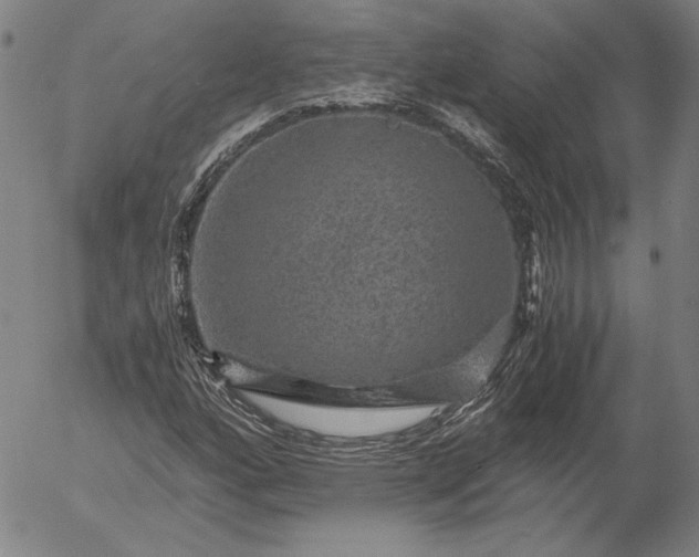 X0000056001160200509021656