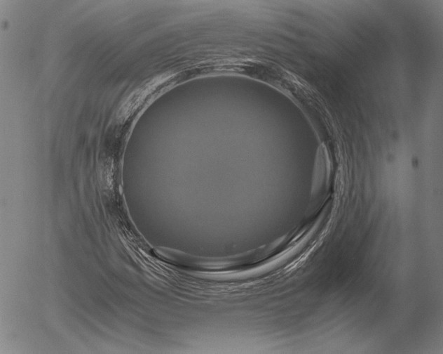 X0000056001161200509021656