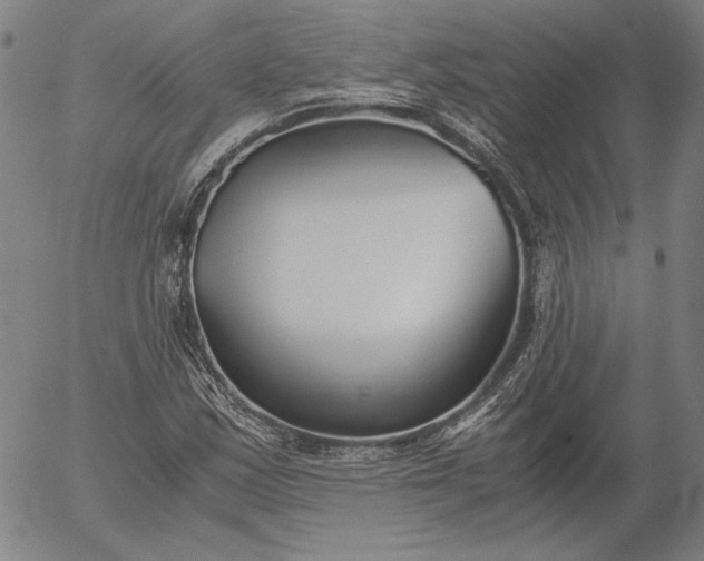 X0000056001163200509021656